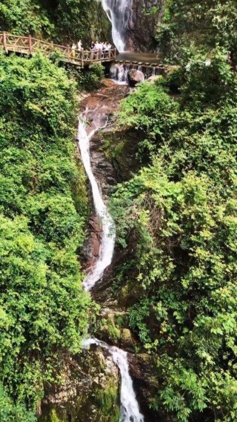 僵尸猎人赏金大赛