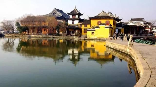 救援小肥兔