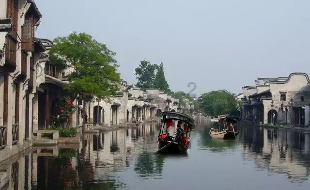 小乌龟逃亡记